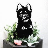 West Highland White Terrier